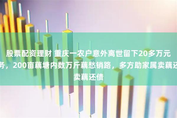股票配资理财 重庆一农户意外离世留下20多万元债务，200亩藕塘内数万斤藕愁销路，多方助家属卖藕还债