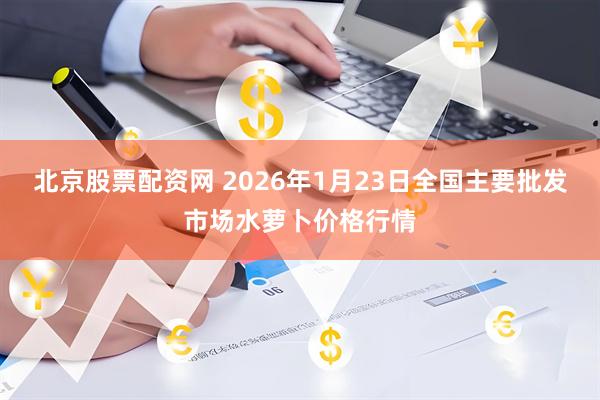 北京股票配资网 2026年1月23日全国主要批发市场水萝卜价格行情