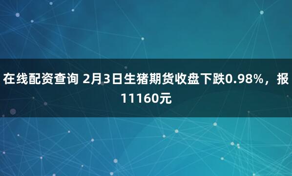在线配资查询 2月3日生猪期货收盘下跌0.98%，报11160元