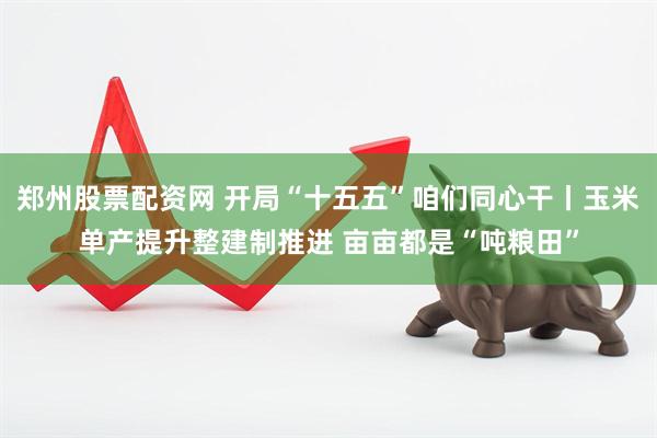 郑州股票配资网 开局“十五五”咱们同心干丨玉米单产提升整建制推进 亩亩都是“吨粮田”